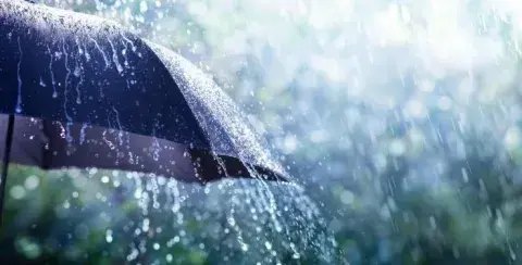 أمطار رعدية ورياح قوية على هذه الولايات أمطار رعدية ورياح قوية على هذه الولايات