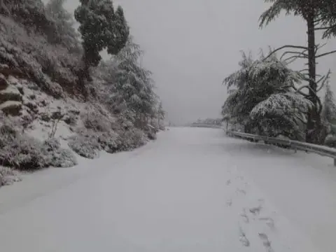 استمرار تساقط الثلوج على عدد من ولايات وسط وشرق البلاد