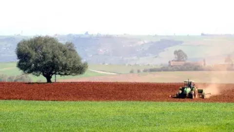 الديوان الوطني للأراضي الفلاحية: تطهير العقار الفلاحي وطي الملف قبل نهاية 2025  الديوان الوطني للأراضي الفلاحية: تطهير العقار الفلاحي وطي الملف قبل نهاية 2025