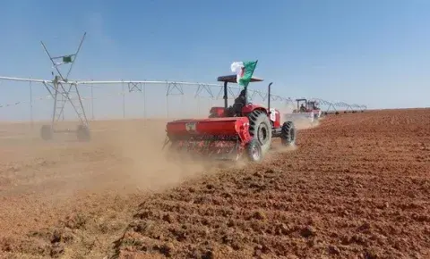 المنيعة: مشروع جزائري-إيطالي لزراعة قصب السكر والحبوب على مساحة 50 ألف هكتار  المنيعة: مشروع جزائري-إيطالي لزراعة قصب السكر والحبوب على مساحة 50 ألف هكتار