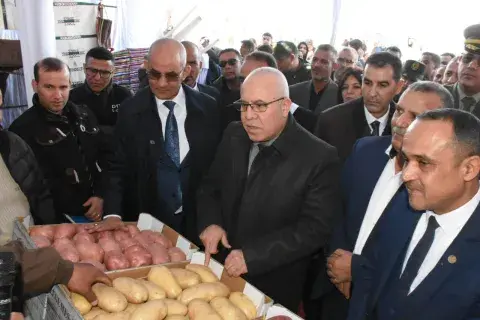 الوادي: نحو إنشاء أقطاب كبرى مخصصة لزراعة الحبوب والذرة الحبية الوادي: نحو إنشاء أقطاب كبرى مخصصة لزراعة الحبوب والذرة الحبية