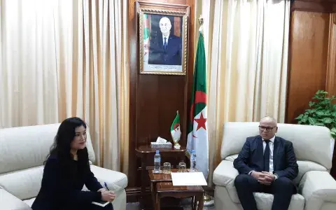 كاتب الدولة لدى وزير الطاقة المكلف بالطاقات المتجددة يستقبل وفد من الشركة الصينية “لونجي”