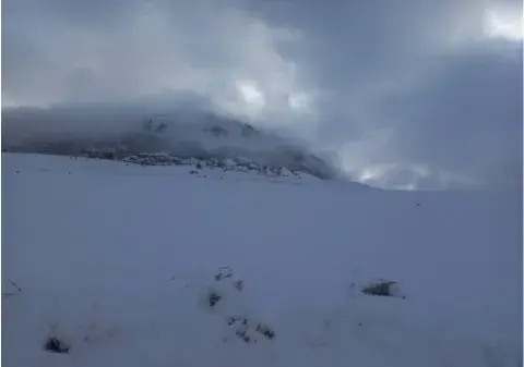 ثلوج وأمطار على عدة مناطق من الوطن