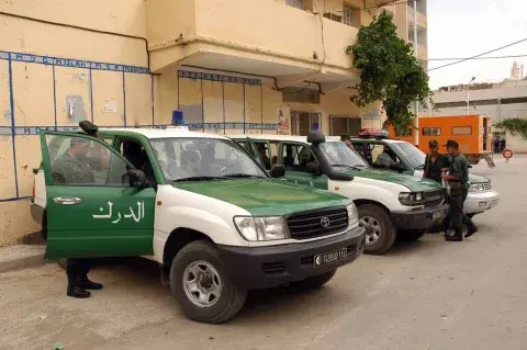 غليزان : تفكيك شبكة وطنية لسرقة المواشي