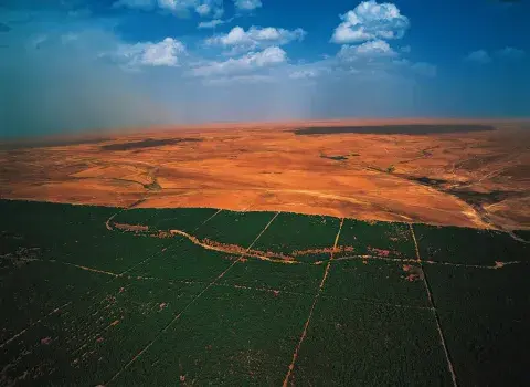 إعادة تأهيل وتوسعة السد الأخضر: تحقيق تقدم إيجابي منذ إعادة إطلاق المشروع