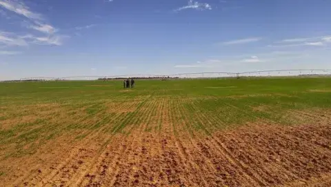 الديوان الوطني للأراضي الفلاحية: 122 ألف هكتار موجهة للتوزيع بغرض الاستصلاح في 2025 الديوان الوطني للأراضي الفلاحية: 122 ألف هكتار موجهة للتوزيع بغرض الاستصلاح في 2025