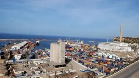 وهران: تصدير نحو مليون طن من المنتجات الفلاحية إلى عدة دول أوروبية وآسيوية وعربية