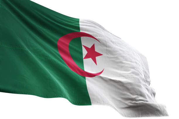 Photo de L’Algérie abrite la première réunion des chefs de bureaux de liaison nationaux d’Afripol