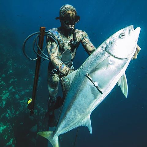 صورة البطولة الوطنية للصيد البحري تحت الماء : أنيس مجازي يفتك  بالمرتبة الأولى