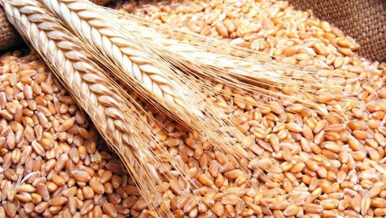 صورة انخفاض واردات الحبوب بأكثر من 12%