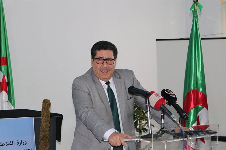 صورة وزير الفلاحة يكشف عن تدابير جديدة لترقية الفلاحة الصحراوية