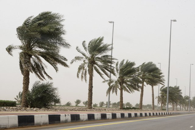 Photo de Des vents forts  sur plusieurs wilayas de l’Ouest et du Centre et de l’Est
