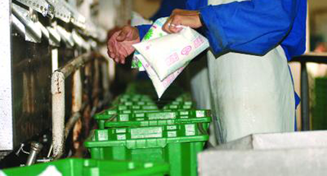 صورة مجمع “جيبلي” يرفع إنتاج الحليب بنسبة 20% في رمضان