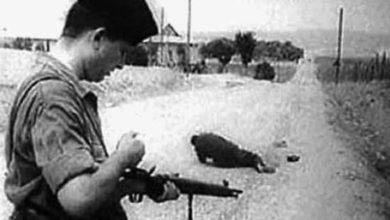 صورة مجازر 8 ماي 1945: الذاكرة المفتوحة