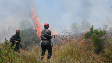 صورة الحرائق تتلف أزيد من 3 هكتارات من الغطاء الغابي في يوم واحد بمستغانم