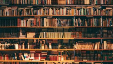 Photo de Fête de l’indépendance et de la jeunesse: 5.000 ouvrages à livrer aux bibliothèques communales d’Oran