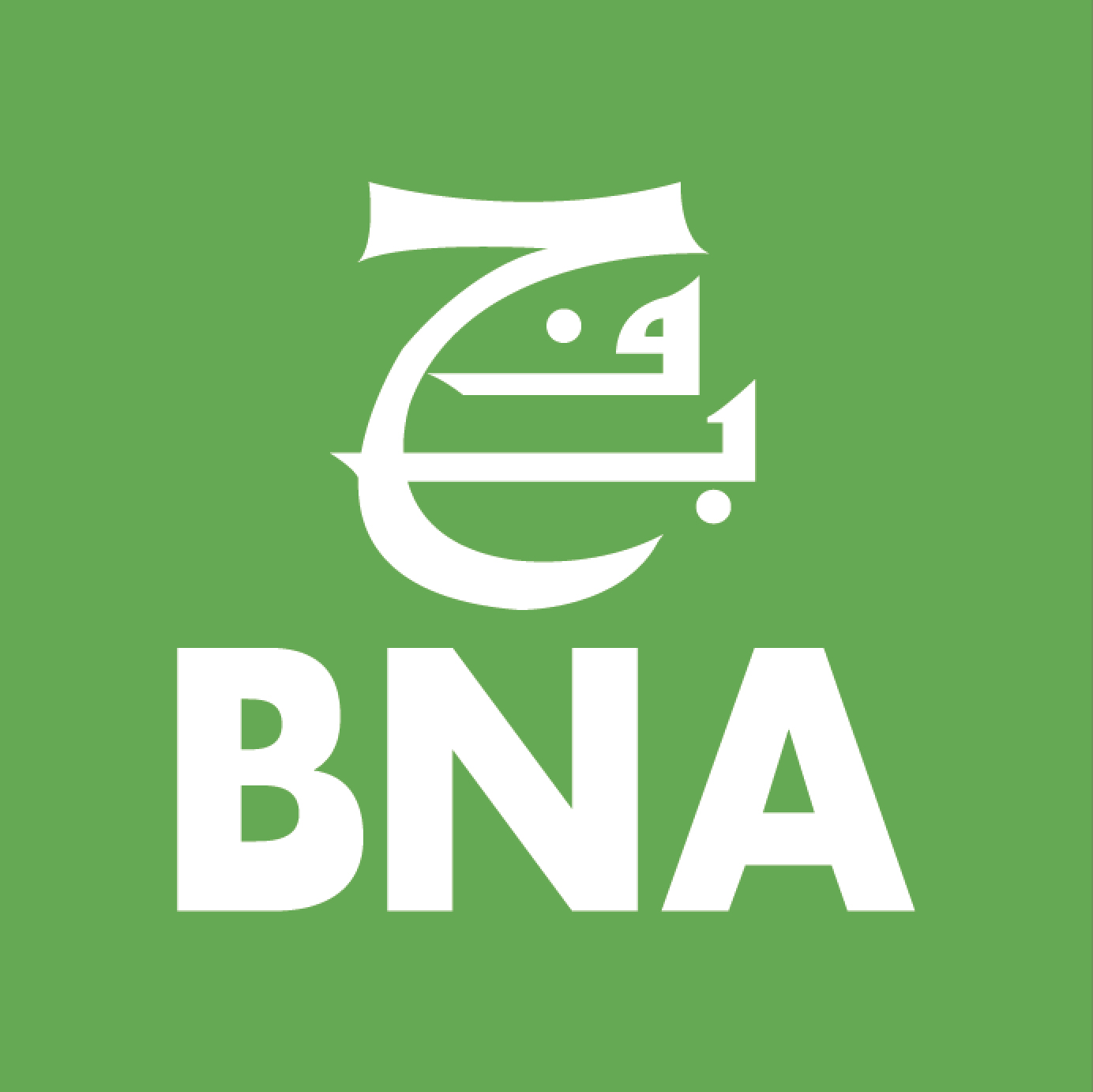 BNA : Bank Of Algeria