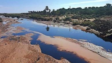 صورة ولاية الوادي: مديرية البيئة تأمر بإعداد تقرير مفصل حول حادثة التسرب البترولي