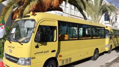 صورة تخصيص 400 حافلة للنقل المدرسي بمعسكر