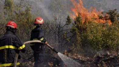 صورة وزارة الفلاحة تضع حصيلة النهائية للتعويضات الخاصة بحرائق الغابات