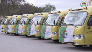 صورة توزيع حافلات النقل المدرسي لفائدة 09 بلديات بتبسة
