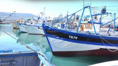 صورة وزير الصيد البحري : صناعة السفن والصيد بأعالي البحار أولوية القطاع