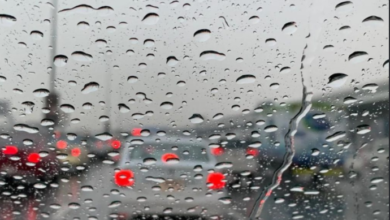 Photo de Des pluies orageuses, mardi et mercredi, sur des wilayas du Centre et de l’Est du pays