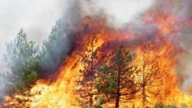 صورة قالمة: إتلاف 5 هكتارات من الأحراش والأدغال والحصيدة في حريق بالفجوج