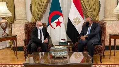 صورة لعمامرة و شكري يستعرضان علاقات التعاون الجزائرية المصرية وآفاق تعزيزها