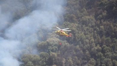 صورة عين الدفلى: تواصل عمليات إخماد حريق غابة “العناب” ببلدية العامرة