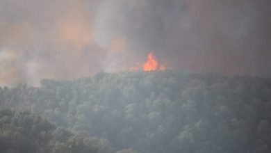 صورة خنشلة: إتلاف عشرات الهكتارات من الغطاء الغابي بفعل الحرائق ببلدية شيلية