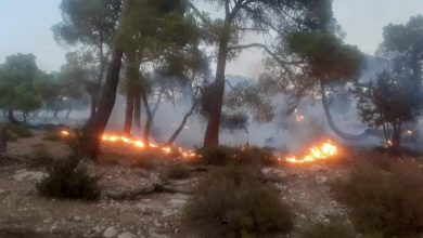 صورة تبسة:جهود متواصلة منذ 4 أيام لإخماد حريق بجبل الدكان (بوسكيكين)