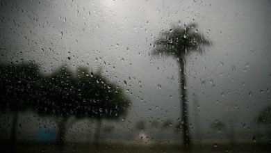 صورة أمطار غزيرة على بعض ولايات الوطن بداية من مساء اليوم السبت