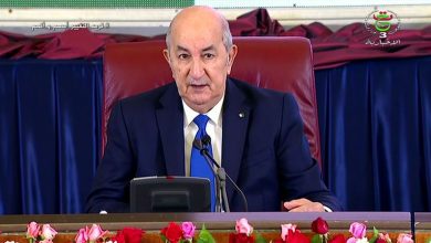 صورة رئيس الجمهورية: “الجزائر لن تتسامح مع أي تدخل في شؤونها الداخلية”