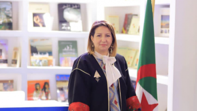 Photo of Minister of Culture: There is political will to strengthen cultural links between Algerian and Egyptian peoples