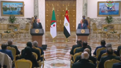 Photo of President of the Republic affirmed that his talks with his Egyptian counterpart were rich and fruitful