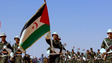صورة الصحراء الغربية: دعوة لمضاعفة الجهود الدبلوماسية لتسليط الضوء على مناورات المغرب التضليلية