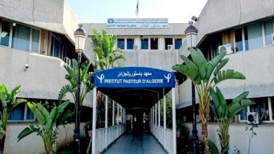 Photo of The Algerian Pasteur Institute: No monkeypox case detected to date in Algeria