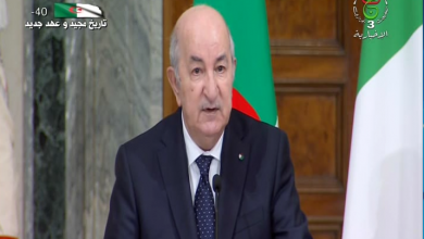 Photo de Président de la république : proposition pour la réalisation d’un câble sous-marin entre l’Algérie et l’Italie pour approvisionner l’Europe en électricité