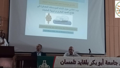 Photo of Tlemcen: Informational and awareness day on ways to invest in marine fishing