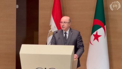 صورة Speech of Prime Minister Aïmene Benabderrahmane at the opening of the Algerian-Egyptian Economic Forum