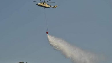 صورة وزارة الدفاع الوطني: إقحام مروحيات تابعة للجيش الوطني الشعبي في عمليات إخماد النيران في غابات جبل شنوة 