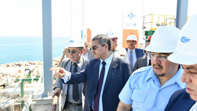 Photo of President and CEO of Sonatrach on a working and inspection visit to Skikda industrial zone