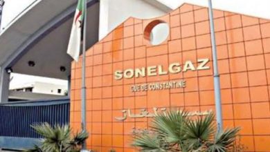 Photo of Sonelgaz Complex: Electricity consumption estimated at 16,822 megawatts without recording any fluctuation