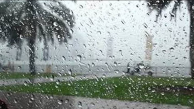 Photo de Pluies orageuses et chutes de grêle sur plusieurs wilayas à partir de vendredi