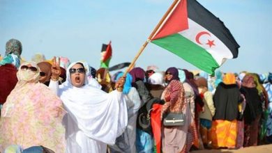 صورة السويد : المجموعة البرلمانية للصداقة مع الصحراء الغربية تدعو إلى الضغط على المغرب لوقف انتهاكاته في الأراضي الصحراوية