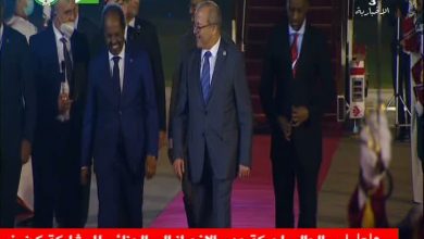 Photo de Arrivée à Alger du président somalien