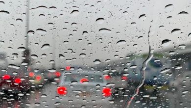 صورة نشرية خاصة: أمطار رعدية بعدة ولايات من شمال الوطن بداية من مساء يوم غد الجمعة
