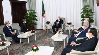 صورة رئيس الجمهورية السيّد عبد المجيد تبون يستقبل رئيسة الحكومة التونسية