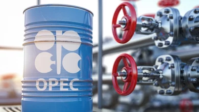 Photo de Oil: OPEC + decides to continue reducing its production by 2 million barrels per day in December and January